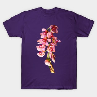 Orchids - Cascade of Pink Orchids T-Shirt